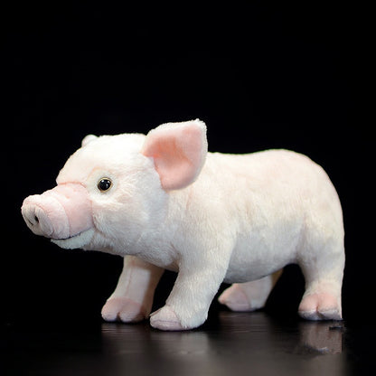 White Cute Domestic Pig Plush Toy