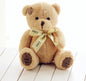 Teddy bear plush toy