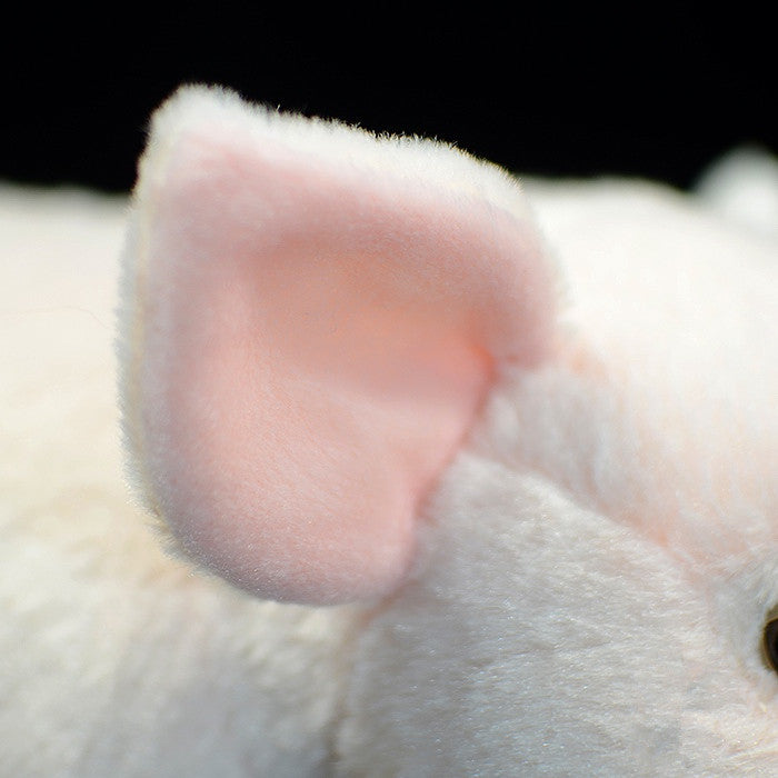 White Cute Domestic Pig Plush Toy