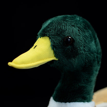 Super Cute Mallard Plush Toy