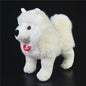 Samoye Dog Plush Toy Simulation Animal