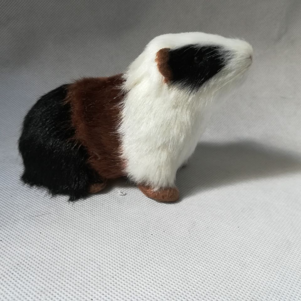 Teaching Mold Animal Simulation Guinea Pig