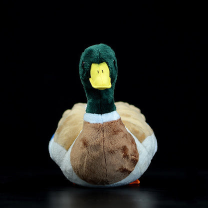 Super Cute Mallard Plush Toy