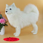 Dog Samoye Plush Toy