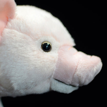 White Cute Domestic Pig Plush Toy