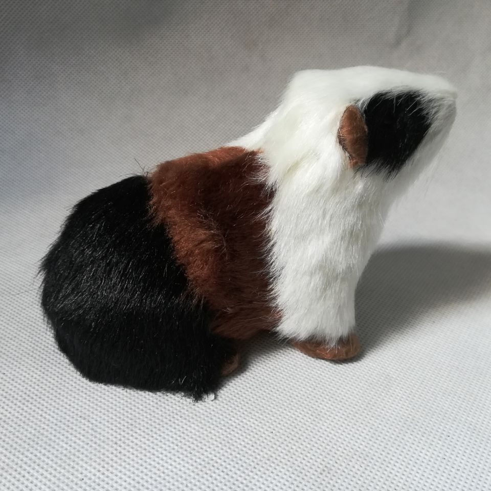 Teaching Mold Animal Simulation Guinea Pig