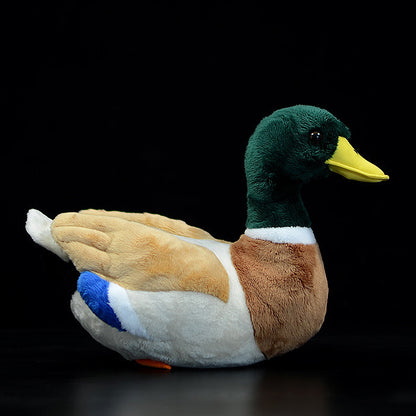 Super Cute Mallard Plush Toy